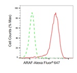 A-Raf Antibody in Flow Cytometry (Flow)