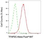 AP2 gamma Antibody in Flow Cytometry (Flow)