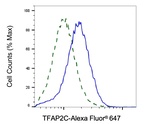 AP2 gamma Antibody in Flow Cytometry (Flow)