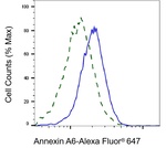 Annexin A6 Antibody in Flow Cytometry (Flow)
