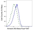 Annexin A6 Antibody in Flow Cytometry (Flow)