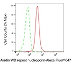 Aladin Antibody in Flow Cytometry (Flow)