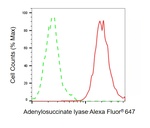 ADSL Antibody in Flow Cytometry (Flow)