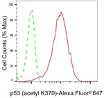 p53 Antibody in Flow Cytometry (Flow)