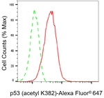 p53 Antibody in Flow Cytometry (Flow)