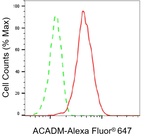ACADM Antibody in Flow Cytometry (Flow)