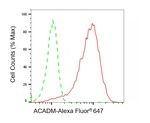 ACADM Antibody in Flow Cytometry (Flow)