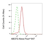 ABCF2 Antibody in Flow Cytometry (Flow)