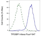 53BP1 Antibody in Flow Cytometry (Flow)