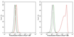 SFTPC Antibody in Flow Cytometry (Flow)