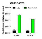 BATF3 Antibody in ChIP Assay (ChIP)