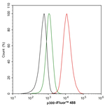 p300 Antibody in Flow Cytometry (Flow)