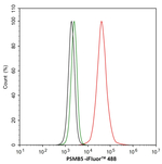 PSMB5 Antibody in Flow Cytometry (Flow)