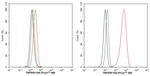 DR4 Antibody in Flow Cytometry (Flow)