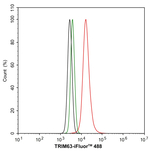 MURF1 Antibody in Flow Cytometry (Flow)