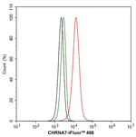 CHRNA7 Antibody in Flow Cytometry (Flow)