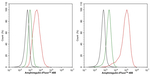 Amphiregulin Antibody in Flow Cytometry (Flow)