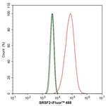 SRSF2 Antibody in Flow Cytometry (Flow)