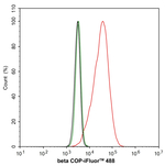 beta COP Antibody in Flow Cytometry (Flow)