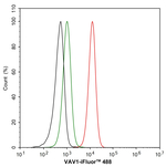 VAV1  Antibody in Flow Cytometry (Flow)