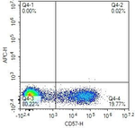 CD57 Monoclonal Antibody (7H2)
