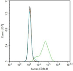 CD34 Antibody in Flow Cytometry (Flow)