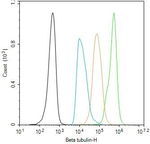 beta Tubulin Antibody in Flow Cytometry (Flow)