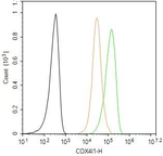 COX4 Antibody in Flow Cytometry (Flow)