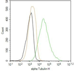 alpha Tubulin Antibody in Flow Cytometry (Flow)