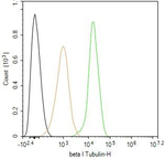 TUBB1 Antibody in Flow Cytometry (Flow)