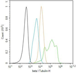 TUBB1 Antibody in Flow Cytometry (Flow)