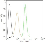 Histone H3 Antibody in Flow Cytometry (Flow)