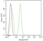 Histone H3 Antibody in Flow Cytometry (Flow)