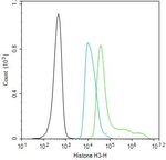 Histone H3 Antibody in Flow Cytometry (Flow)