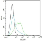 CD23 Antibody in Flow Cytometry (Flow)