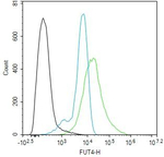 FUT4 Antibody in Flow Cytometry (Flow)