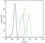 PRDX1 Antibody in Flow Cytometry (Flow)
