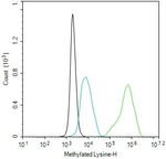Pan-Methyl Lysine Antibody in Flow Cytometry (Flow)