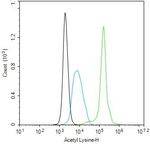 Acetylated Lysine Antibody in Flow Cytometry (Flow)