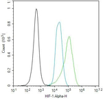 HIF1A Antibody in Flow Cytometry (Flow)