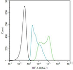 HIF1A Antibody in Flow Cytometry (Flow)