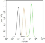 FGF2 Antibody in Flow Cytometry (Flow)