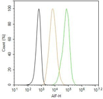 AIF Antibody in Flow Cytometry (Flow)