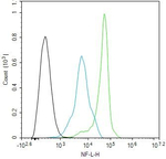 NF-L Antibody in Flow Cytometry (Flow)