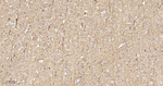 NF-L Antibody in Immunohistochemistry (Paraffin) (IHC (P))