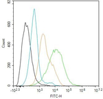 TLR7 Antibody in Flow Cytometry (Flow)
