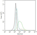 CA125 Antibody in Flow Cytometry (Flow)