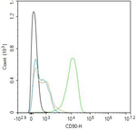 CD90 Antibody in Flow Cytometry (Flow)