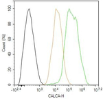 Calcitonin Antibody in Flow Cytometry (Flow)