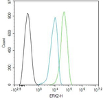 ERK2 Antibody in Flow Cytometry (Flow)
